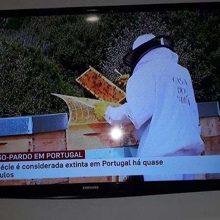 Apimonte City House A Bragança Exterior foto