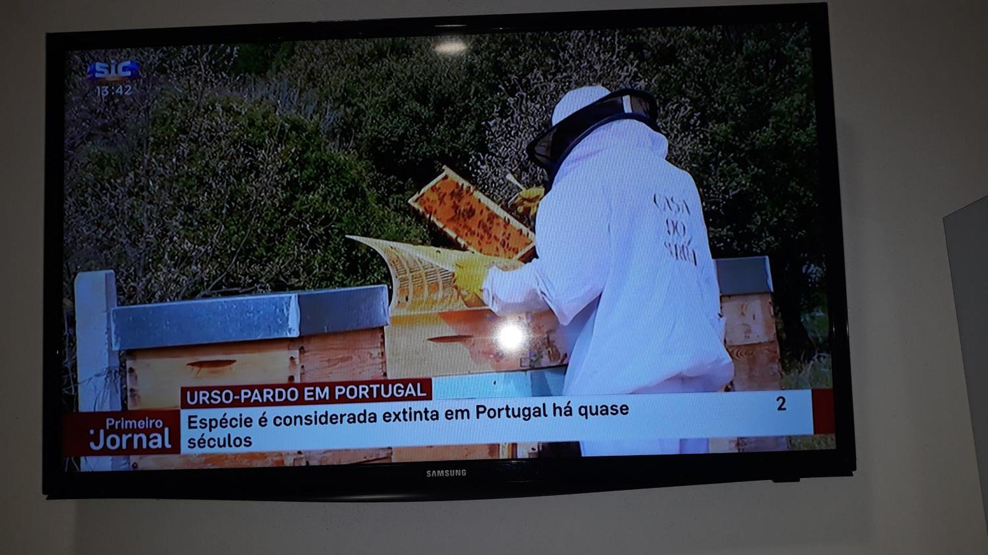 Apimonte City House A Bragança Exterior foto
